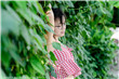 《换妻》